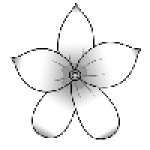 “Киевзеленстрой” дорисовал цветы на клумбах с помощью фотошопа 