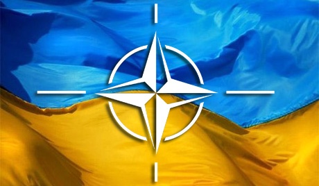 Экс-глава офиса НАТО: “Наш ответ должен быть на языке, который поймут бандиты”