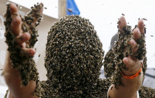 Спасатели “выкурили” рой пчел из столичного гипермаркета