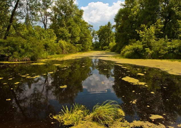 В экологической комиссии Киевсовета решили восстановить “Остров Жуков”