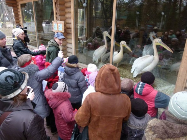 Многодетным семьям можно посетить киевский зоопарк со скидкой