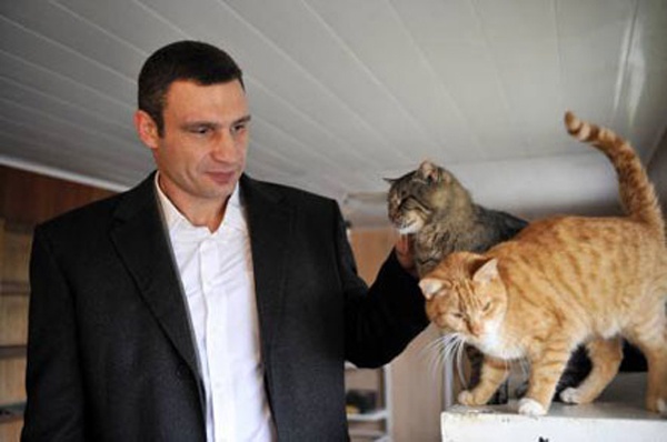 Кличко уволил директора коммунального “Приюта для животных”