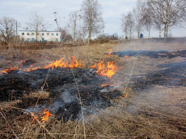 Вчера киевские пожарные 40 раз выезжали тушить горящую траву