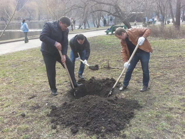 В столице “Киевзеленстрой” высадил 60 га леса