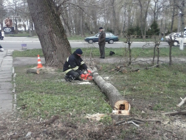 Спасателей “припахали” срезать опасные ветки на деревьях в парке Белой Церкви