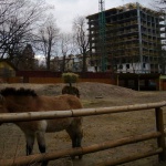 Строительное лобби грозит похоронить Киевский зоопарк