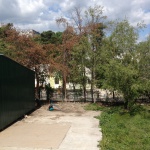 Благодаря Прокопиву ООО “ЖенСан“ залило бетоном часть леса около станции метро ”Лесная”