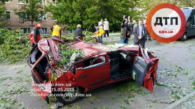 В Киеве на автомобиль рухнуло дерево, погибла пятилетняя девочка