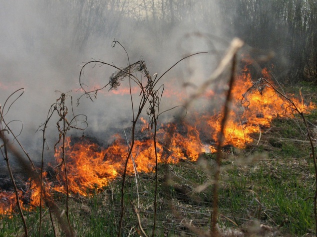 В Киевской области горит травяной настил