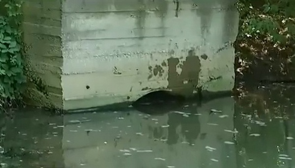 На Русановке в Днепр сливается неизвестное вещество коричневого цвета с резким запахом (видео)