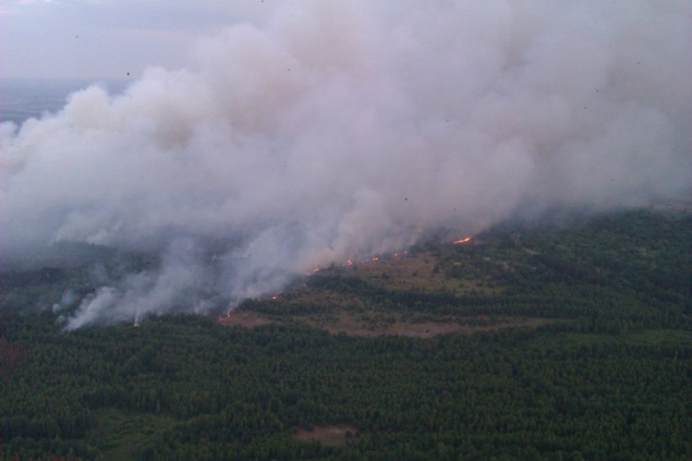 В Зоне отчуждения, на территории лесного хозяйства “Чернобыльская пуща”, горит 130 га земли