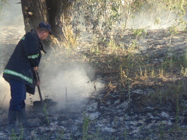 На Киевщине горит более 5 га торфяников