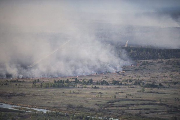 Киевщина в огне: лесные пожары перекинулись на Вышгородский район