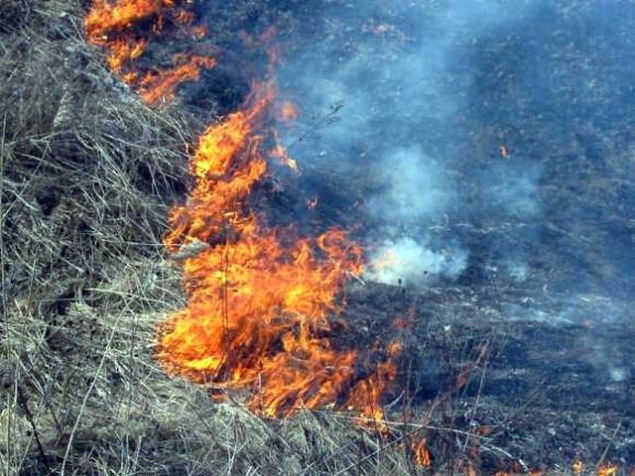 За сутки столичные пожарные потушили около 7 га горящей сухой травы и мусора