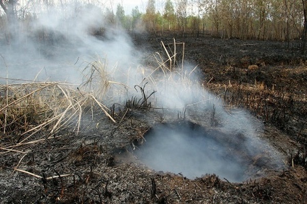 Пожарные окружили и остановили фронт пожара в “Чернобыльской пуще”