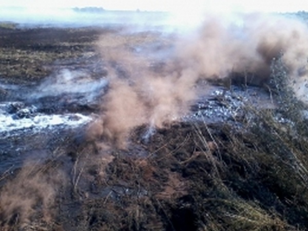 На Киевщине увеличилось количество очагов торфяных пожаров