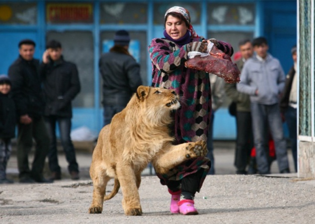 За полтора года в киевский зоопарк граждане “сдали” 225 экзотических животных