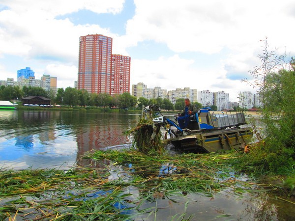 Коммунальщики расчистили столичное озеро Солнечное (фото, видео)