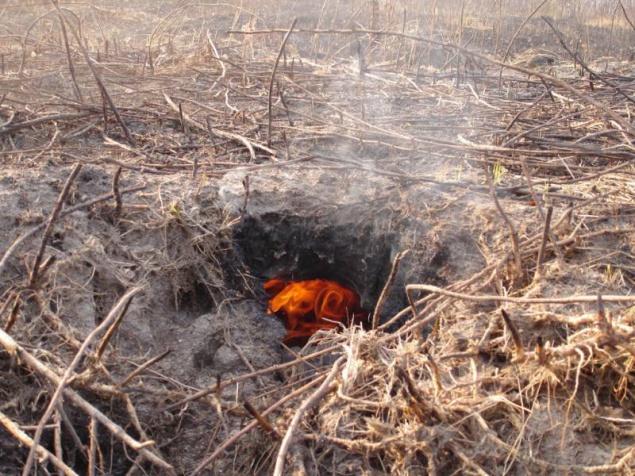 На Киевщине за сутки ликвидировали 3 очага возгорания торфа