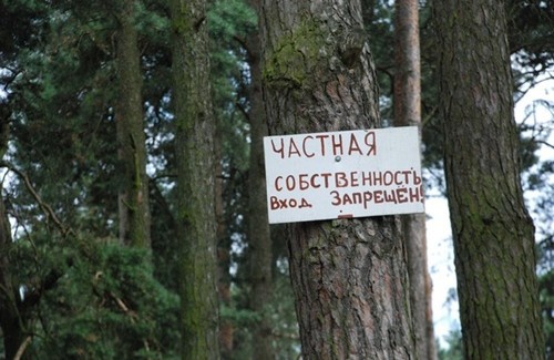 На Киевщине прокуратура потребовала забрать из личного пользования 8 га земли стоимостью 53 млн гривен