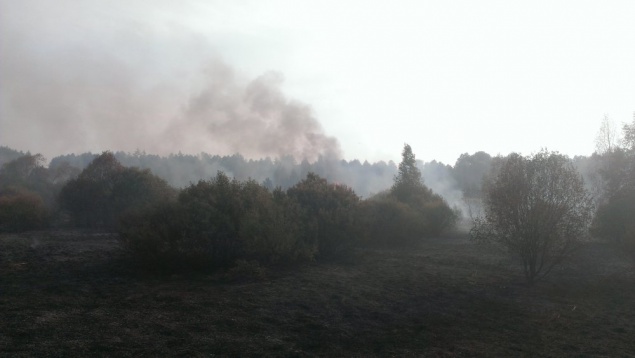 К тушению лесной подстилки на Киевщине пожарные подключили авиацию (фото, видео)