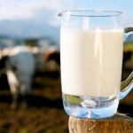 Молоко и масло, производимое на Киевщине, назвали одним из лучших в Украине