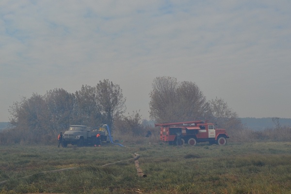 Площадь горящих торфяников Киевщины увеличилась с 20 до 70 гектар (видео)