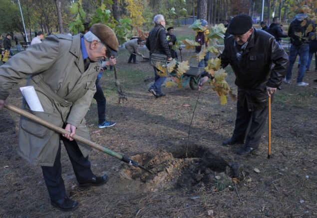 В столичном парке высадили молодые дубки, подаренные Киеву закарпатцами (фото)