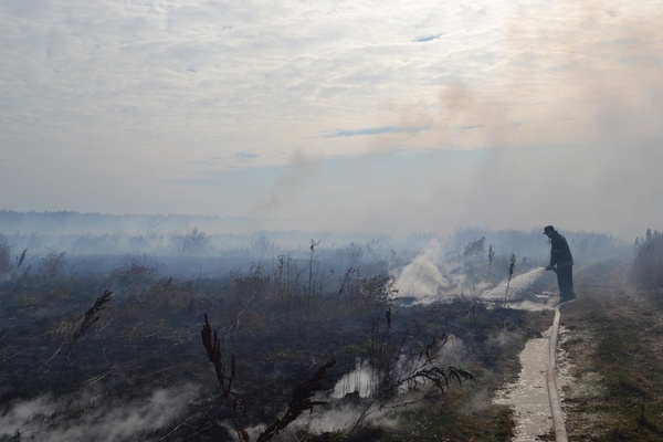 На Киевщине спасатели тушат 10 очагов возгорания торфяников (фото)