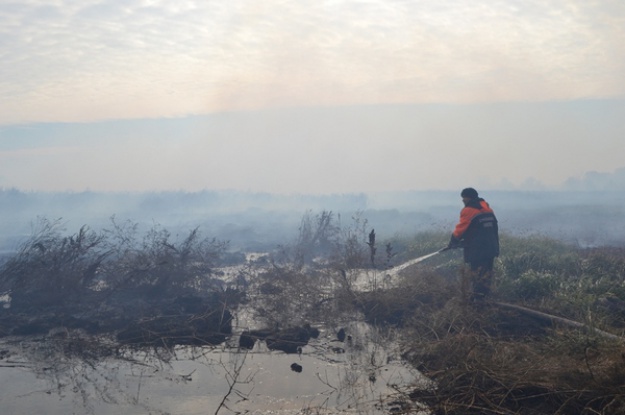 Площадь горящих торфяников Киевщины увеличилась до 20 гектар