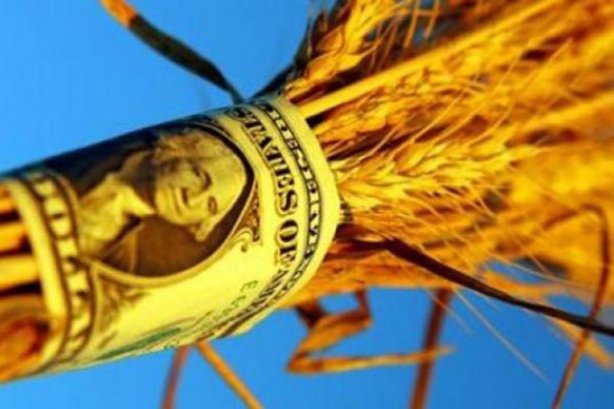 ГПУ подозревает экс-главу Аграрного фонда в завладении суммой свыше полумиллиарда гривен