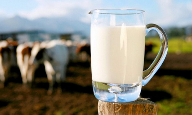 Молоко и масло, производимое на Киевщине, назвали одним из лучших в Украине