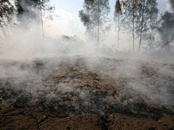 На Киевщине снова горят торфяники