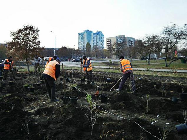 “Киевзеленстрой” отчитался за озеленение в столице