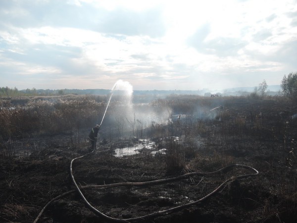 Площадь торфяных пожаров Киевщины уменьшилась до 7,2 га