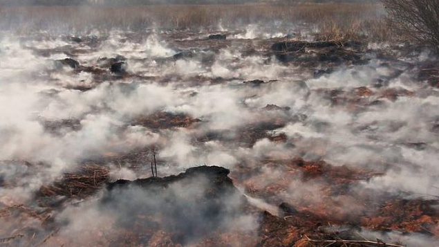В Киевской области осталось потушить 0,8 га тлеющих торфяников