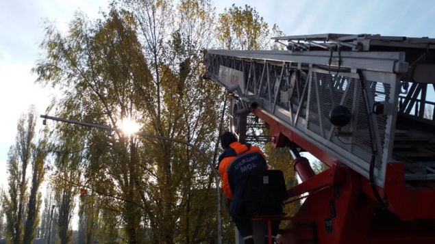 На Киевщине спасателям пришлось снимать человека с дерева