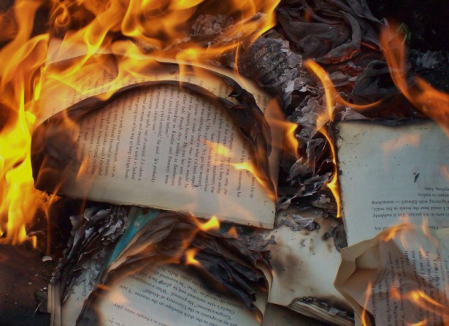 В результате пожара в сельсовете на Киевщине уничтожена бухгалтерская документация