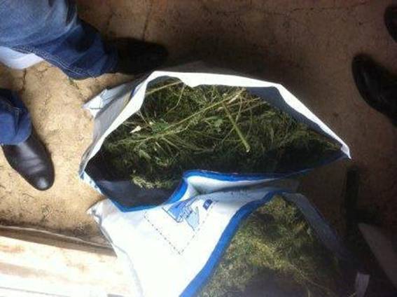 В Фастове полицейские изъяли наркотики на 40 тыс грн