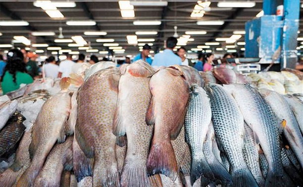 На Киевском море планируют открыть первую “рыбную биржу”