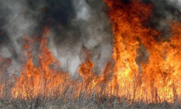 На Киевщине участились возгорания сухой травы