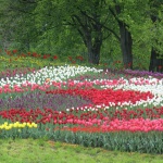 10 киевских парков, которые стоит посетить этой весной