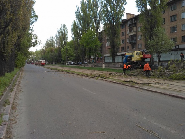 Дерево перекрыло движение транспорта на бульваре Ивана Лепсе в Киеве