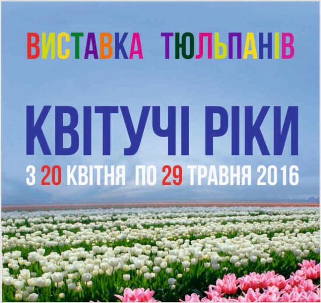 20 апреля в Киеве откроется выставка тюльпанов
