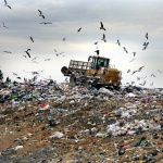 Дубль два: мусор в Переяслав-Хмельницком будет убирать компания, собственник которой уже раз не справился с вывозом городских отходов