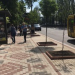 “Киевавтодор” и Всемирный банк могут пойти под суд за реконструкцию бульвара Шевченко
