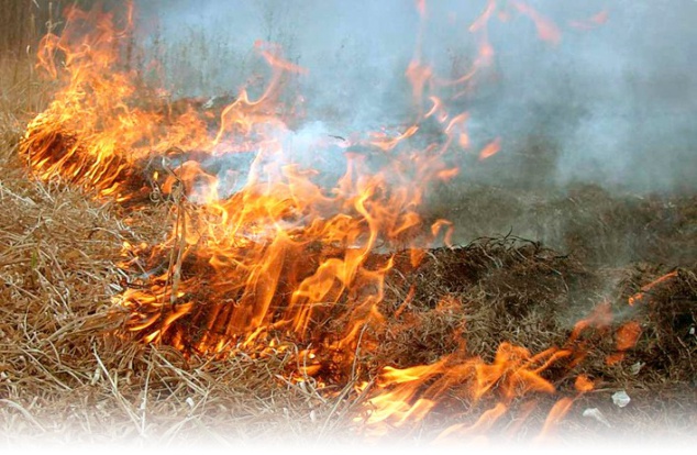 Во вторник 7 июня на Киевщине произошло 14 пожаров и 3 ДТП