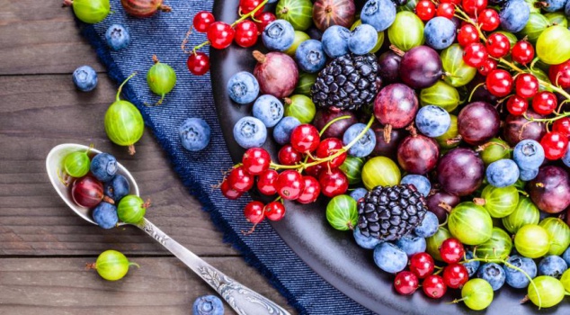 На Белоцерковщине займутся выращиванием ягод по новым технологиям