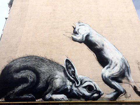 Бельгийский уличный художник Питер ROA создает мурал в Киеве