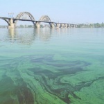 Днепровская вода: пить нельзя, купаться тоже нежелательно